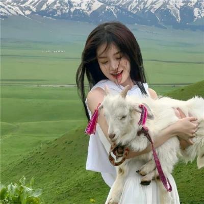 我的四个限定继承人